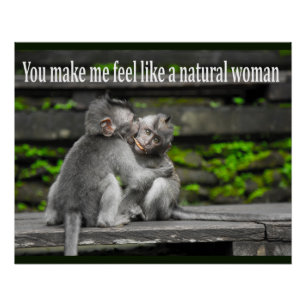 Póster Gorila engraçado Nemes do macaco do macaco com