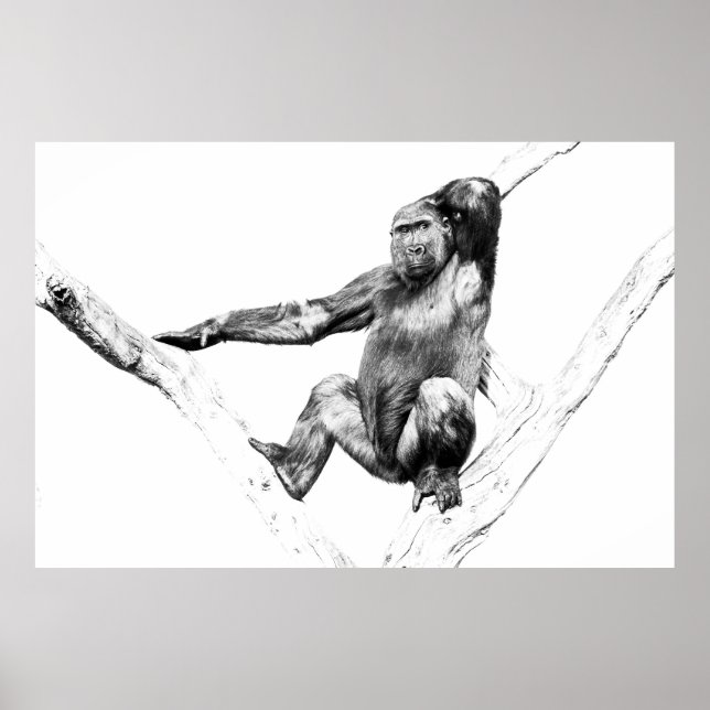 Poster Gorila nas Sombras (Frente)