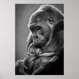 Poster Gorila novo da mãe
