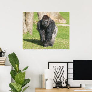 Poster Gorila Silverback – Um Momento de Poder