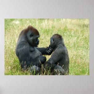 Poster Gorilla Brother's Forever