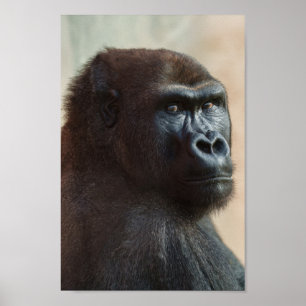 Poster Gorilla Lope Close-up