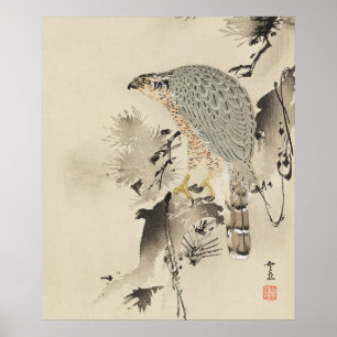 Póster Goshawk asiático - 1890