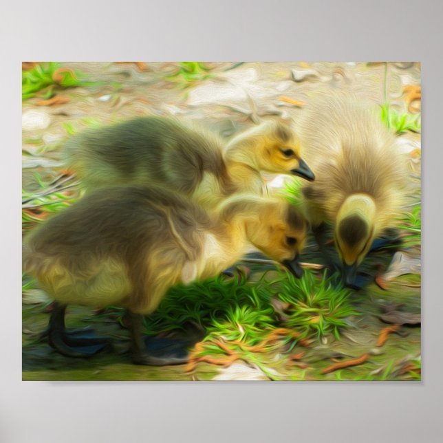 Póster Gosling (Frente)
