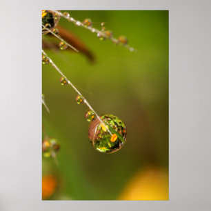Poster Gota de Água Close Up