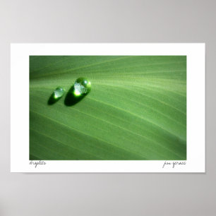 Poster gotas