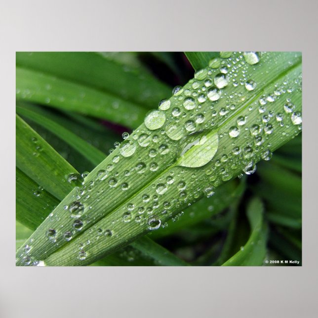 Póster Gotas De Água. (Frente)