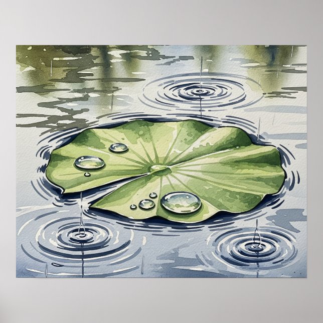 Poster Gotas de chuva em um Lilypad (Frente)