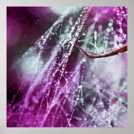 Poster Gotas de chuva no Abstrato de Macro Cobweb Roxo