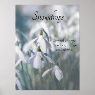 Poster Gotas de neve