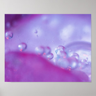 Póster Gotas de orvalho em pétala de flor abstrata.