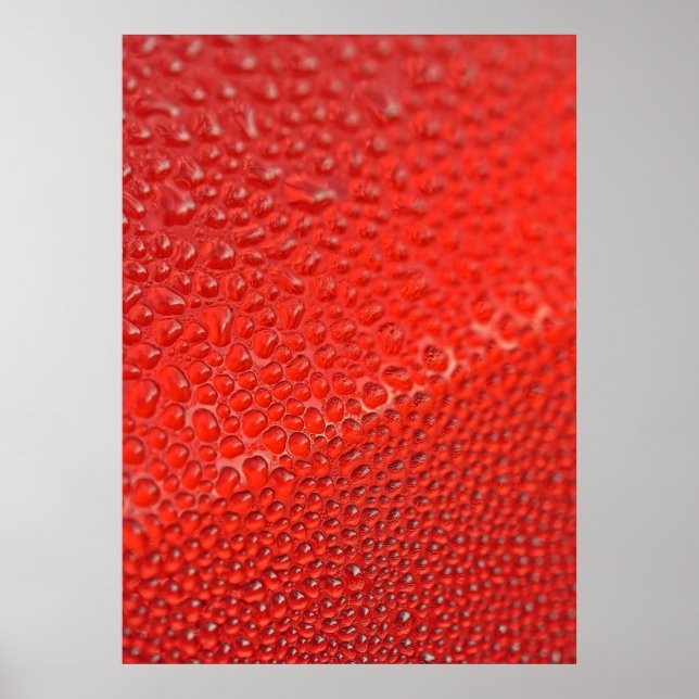 Póster Gotas de orvalho matinal (Frente)