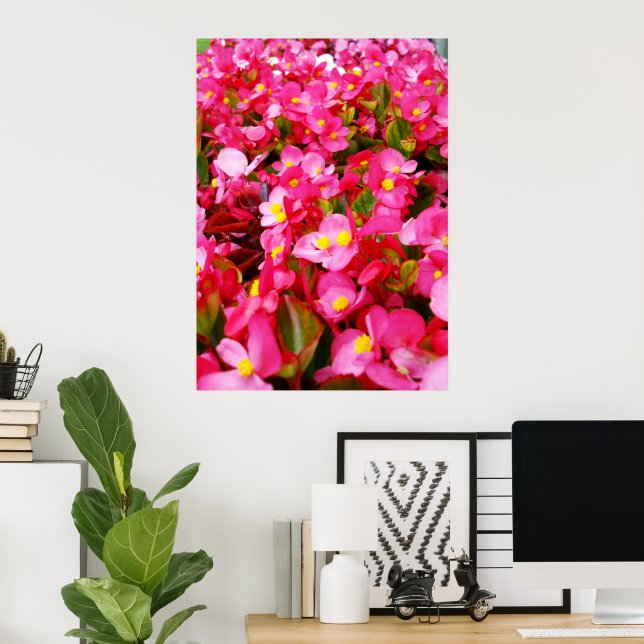 Poster Gotas Rosa De Primavera, Begônia (Escritório em casa)