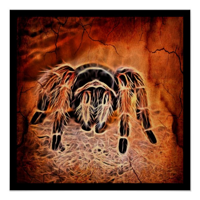 Póster Gótica Crawlies assustadores do Halloween Tarantul (Frente)
