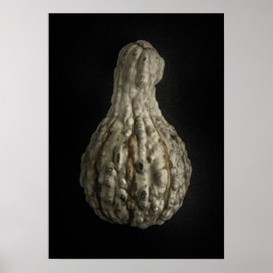 Poster Gourd Versão 8 Colorido