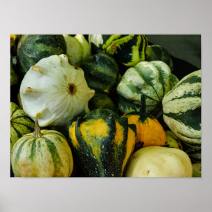 Poster Gourds Galore
