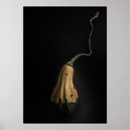 Poster Gourds No 12 Color Version