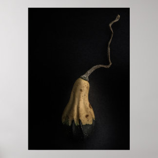 Poster Gourds No 12 Color Version