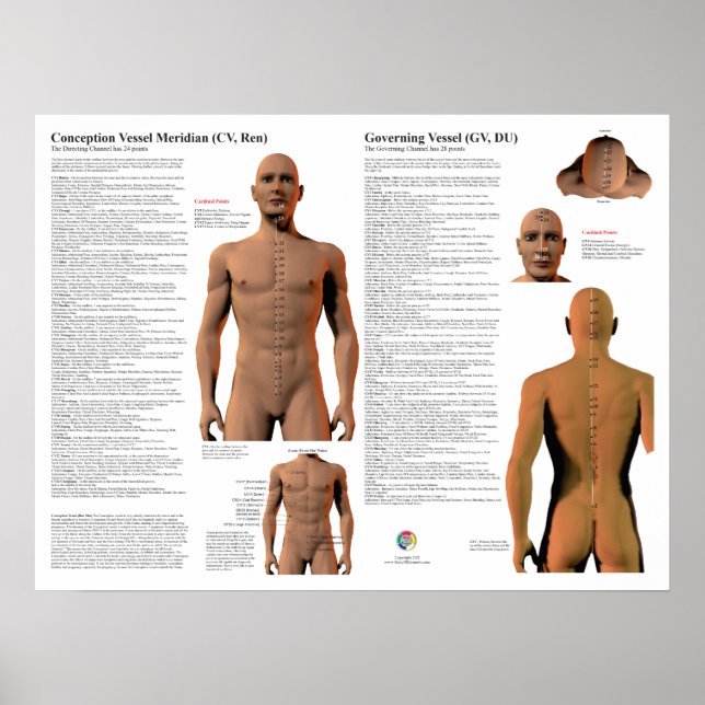 Poster Governing Meridian Acupuncture Points (Frente)