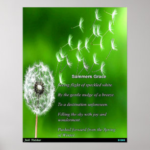Poster Graça de Verão