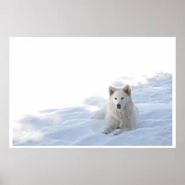 Póster Grace (Frente)