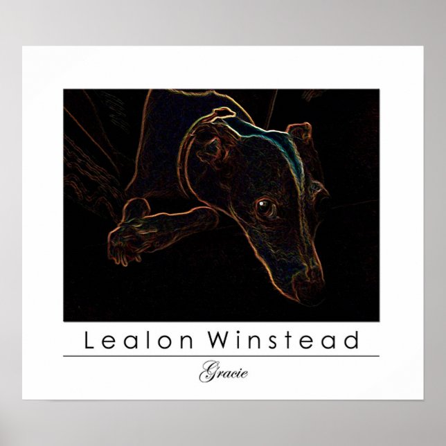 Poster Gracie (Frente)