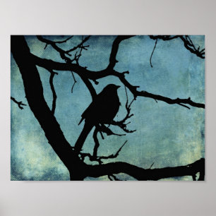 Poster Grackle 2