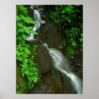 Póster Gradual Growth