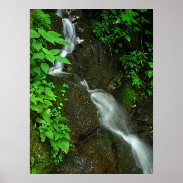 Póster Gradual Growth (Frente)