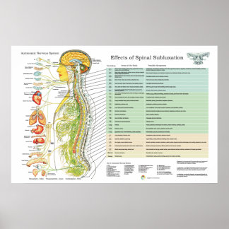Póster Gráfico ANS da Subluxação da Chiropractic