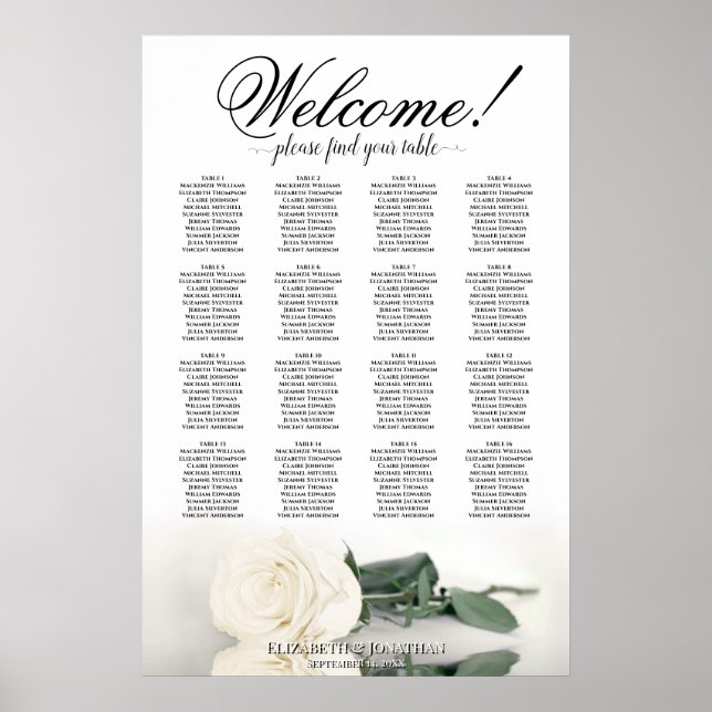 Poster Gráfico de Assentos de Casamento Elegante Rosa Bra (Frente)