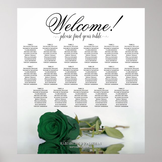 Poster Gráfico de Assentos para Mesa Elegante Rosa Verde  (Frente)