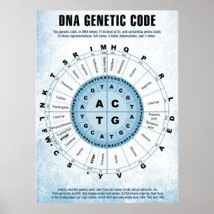 Póster Gráfico de Código Genético de DNA