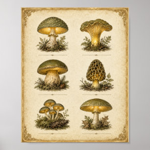 Poster Gráfico de Cogumelo Vintage Glowing Cottagecore Bo