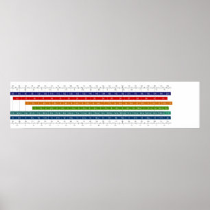 Poster Gráfico de Comparação do Tamanho do Calçado Infant