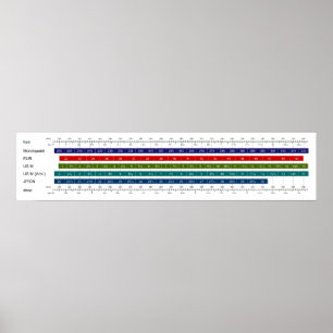 Póster Gráfico de Comparação do Tamanho do Calçado Mascul