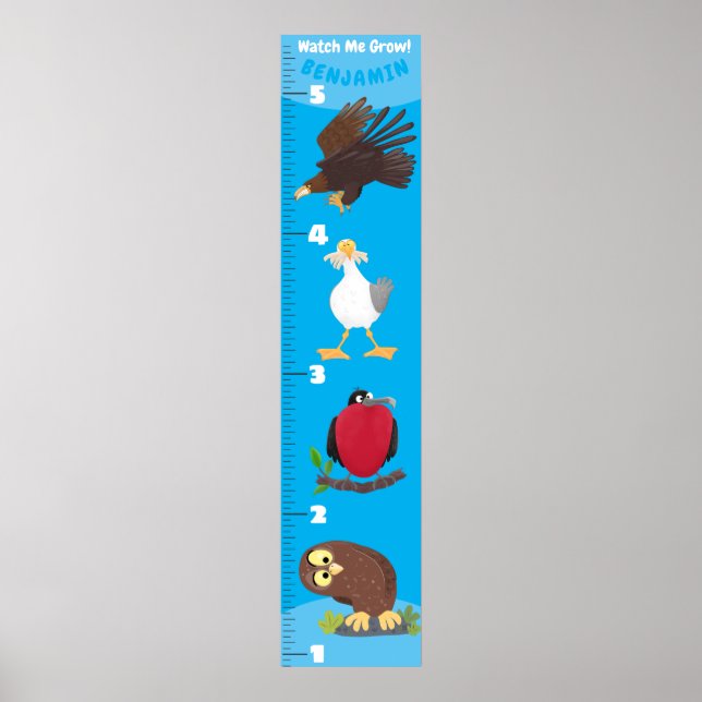 Poster Gráfico de crescimento de animação de aves engraça (Frente)