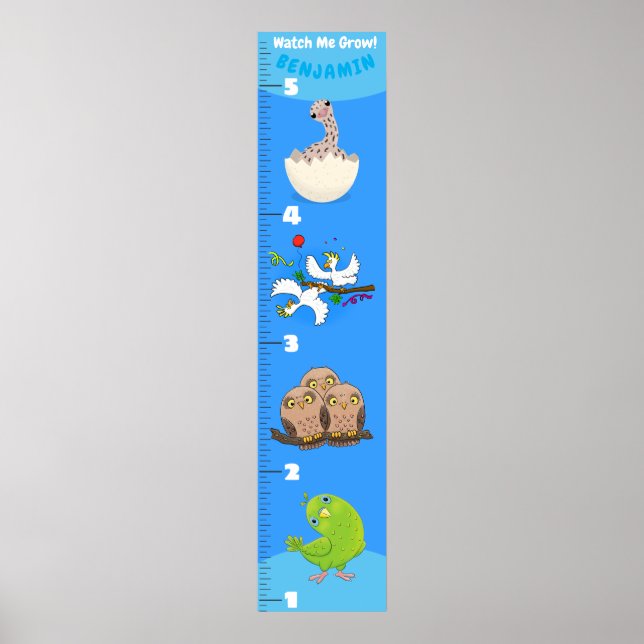 Poster Gráfico de crescimento de animação de aves engraça (Frente)