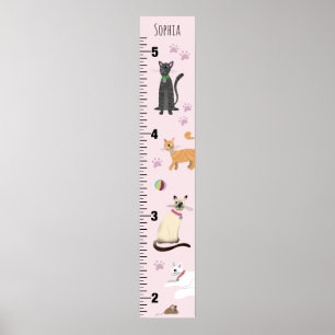 Poster Gráfico de Crescimento do Cartoon Gato de Gato Ro