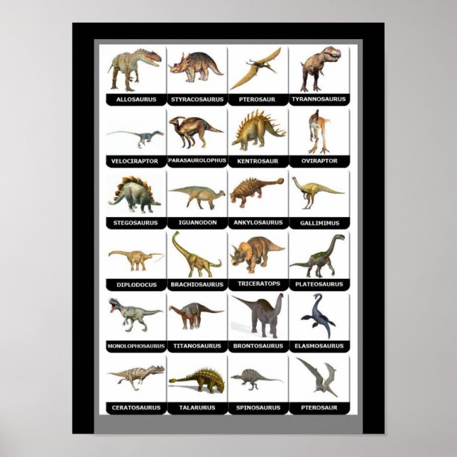 Poster Gráfico de dinossauros (Frente)