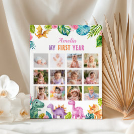Poster Gráfico de Etapas de Fotos do primeiro aniversario