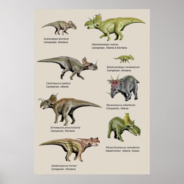 Poster Gráfico de fundo dos dinossauros (Frente)