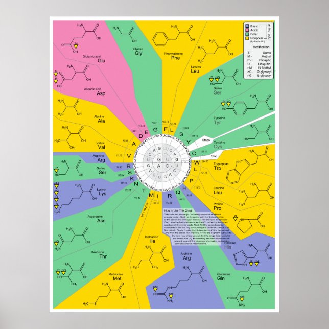 Poster Gráfico de Identificação de Moléculas Químicas com (Frente)