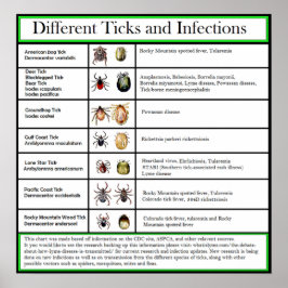 Póster Gráfico de Infecções e Infecções Diferentes