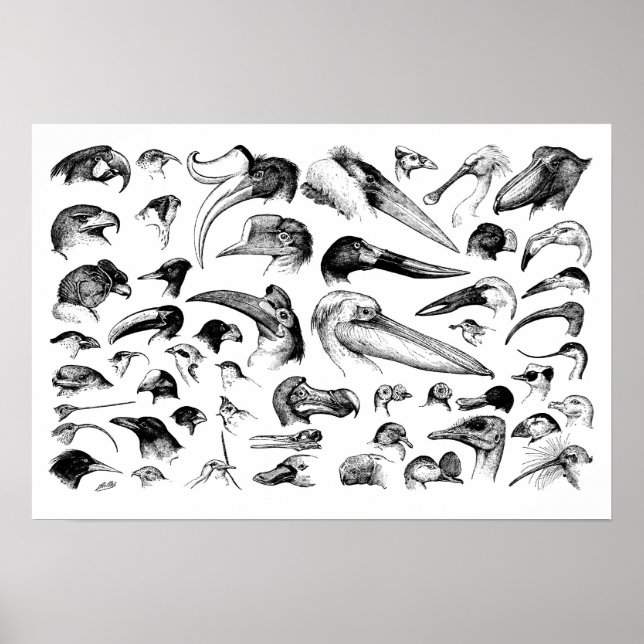 Póster Gráfico de Listas (Frente)