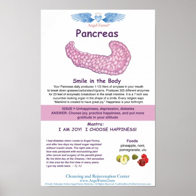 Poster Gráfico de Pancreias do Angel Fazenda (Frente)
