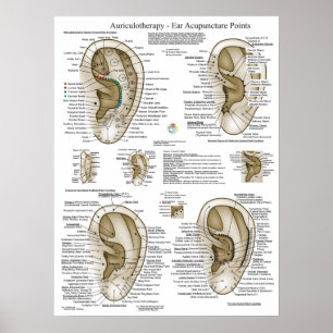 Poster Gráfico de Pontos de Acupuntura do Ouvido
