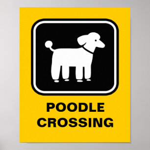 Póster Gráfico de Poodle (Branco no Preto)