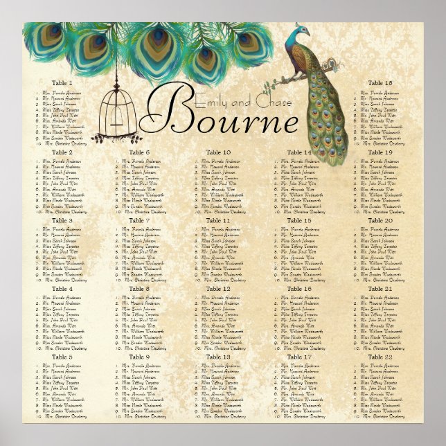 Póster Gráfico de Recepção de Gaiolas de Pássaros de Pena (Frente)