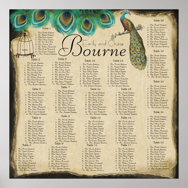 Póster Gráfico de Recepção de Gaiolas de Pássaros de Pena (Frente)